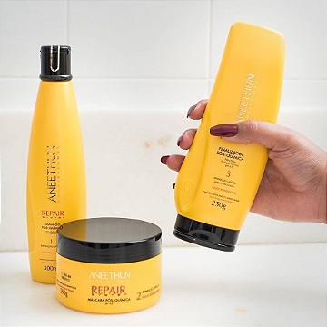 repair system aneethun profissional