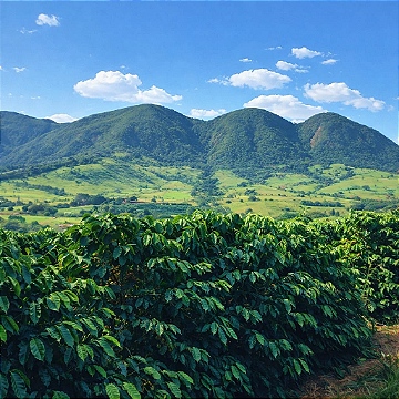 cafe e montanhas