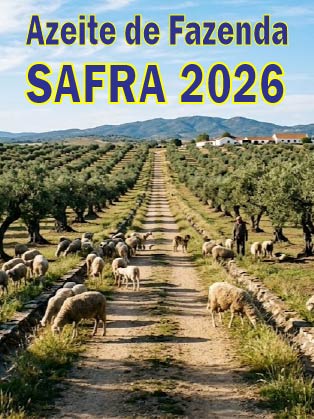 safra 2026