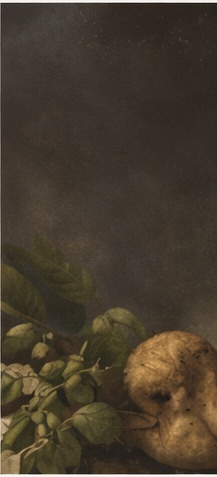 Aura-banner-coluna