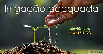 Irrigação adequada