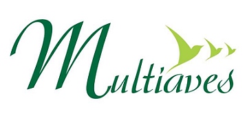 Banner lateral 01