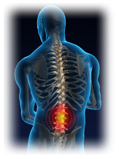 fisio10