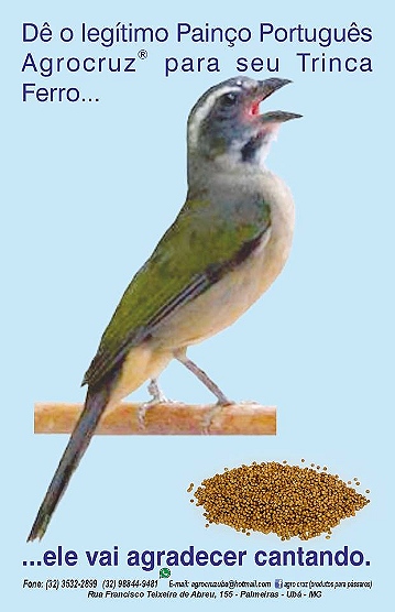 PPTRINCA
