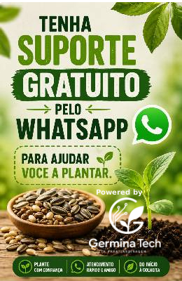 Suporte Gratuito Pelo Whatsapp