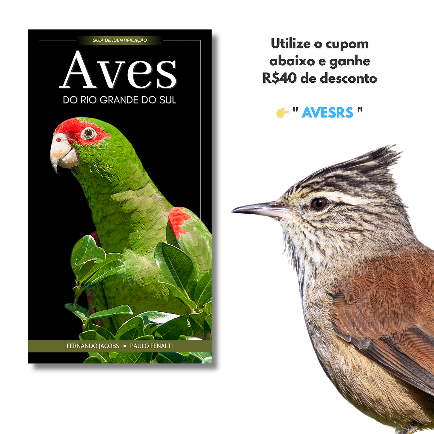 Guia de Identificação: Aves do Rio Grande do Sul - Col. Aves do Brasil ...