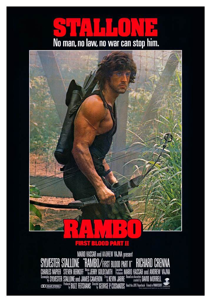 Dvd Seminovo do Filme ( Rambo 2 - a Missão ), Filme e Série Dvd Usado  82156560