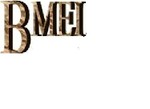 BMEI