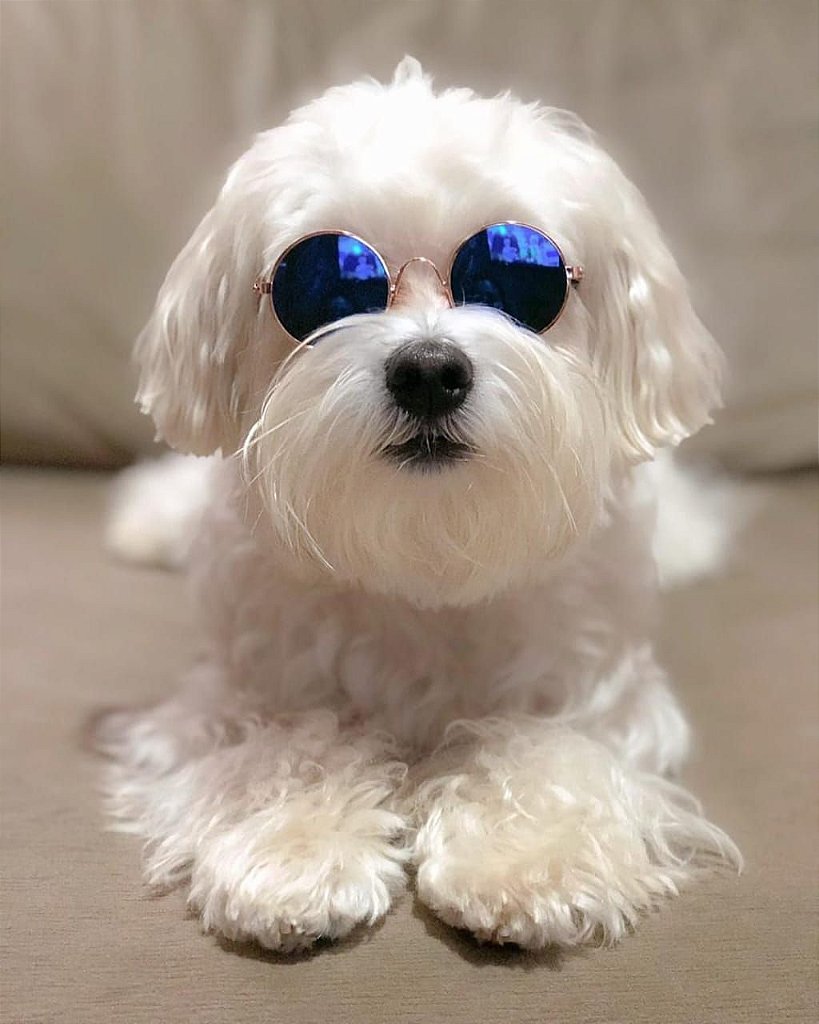 Óculos de Sol para Cachorro e Gato - Azul - Pandora Boutique Pet