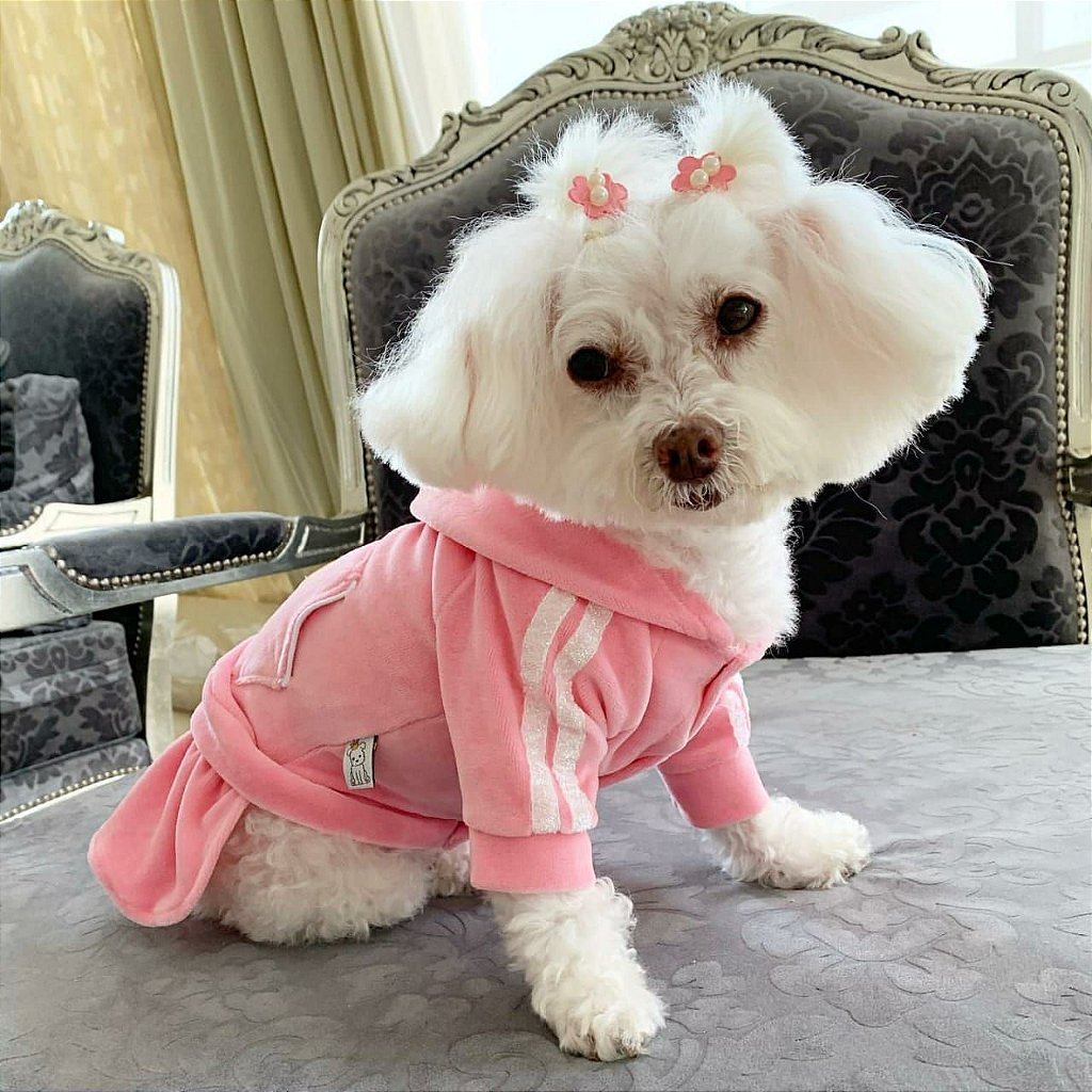 Vestido Esportivo para Cachorro Rosa - Pandora Boutique Pet