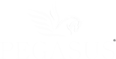 Pegasus Informatica