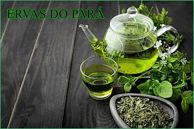 ERVAS DO PARÁ PRODUTOS NATURAIS