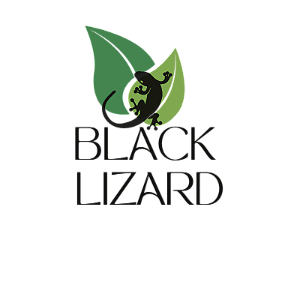 Kit horta vertical com 3 cachepôs de madeira - Black Lizard