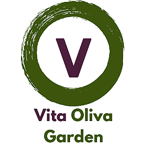 Vita Oliva