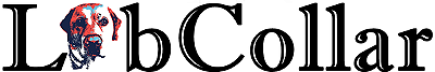 LabCollar