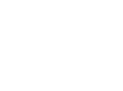 River Skate Shop