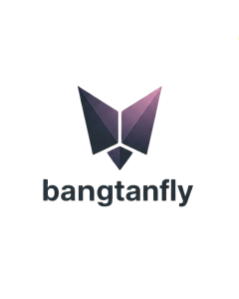 Bangtan Fly