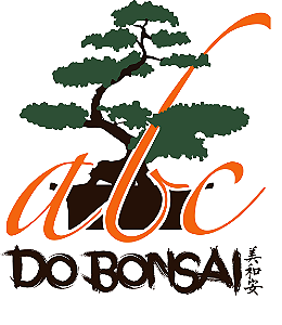 ABC do Bonsai