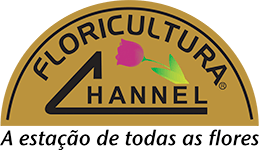 floricultura channel 