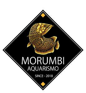 Morumbi Aquarismo