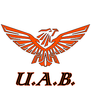 União Airsoft Brasil