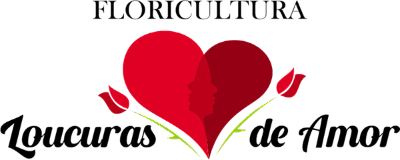Floricultura Loucuras de Amor 