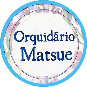 ORQUIDÁRIO MATSUE