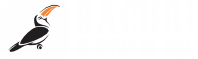 Bacuri Brasil