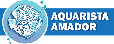Aquarista Amador