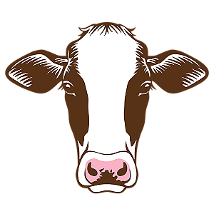 Venda Cadin Di Minas