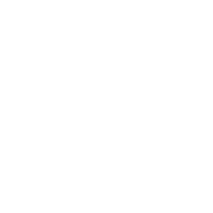 Tabacaria Black Tiger