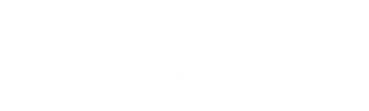 VOYLE LINGERIE
