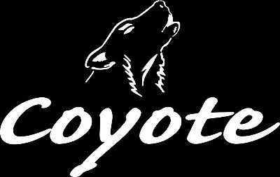 óculos coyote Clearance