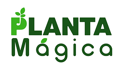 Planta Mágica Oficial