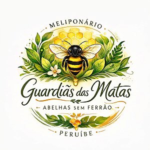 Meliponário Guardiãs das Matas