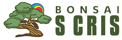 Bonsai SCris