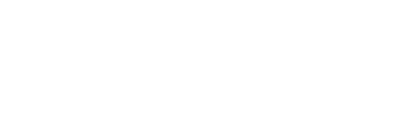 Leão Cabos