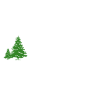 Pinheiros Borrachas