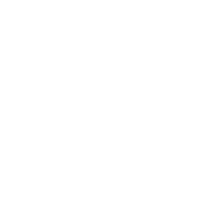 Fundição Silva