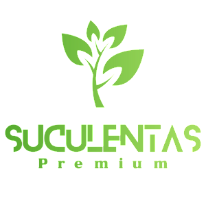 Suculentas Premium