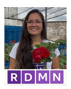 ROSA DO DESERTO MORADA NOVA