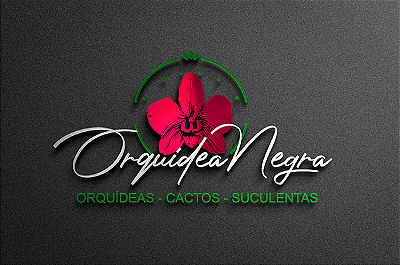 Orquídea Negra BR