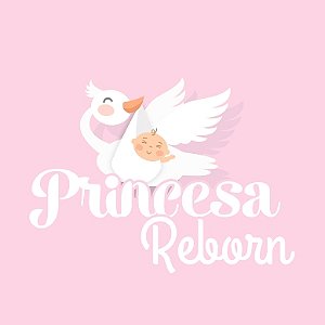 Boneca Bebê Reborn 100% Silicone 23 Itens Bolsa Maternidade - Princesa  Reborn