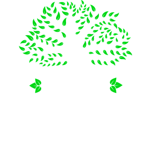 Terradiminas