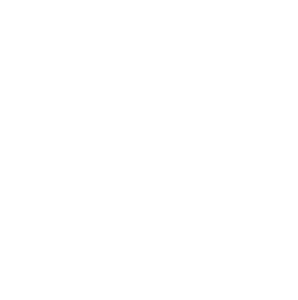 NewVale Imports