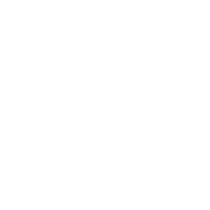 VP NET INFORMATICA