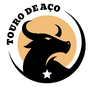 Touro de Aço