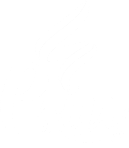 Lojista Psiu