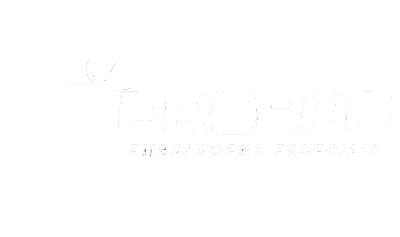 ProBag Shop