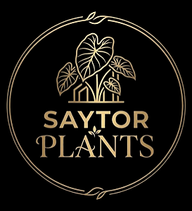 Saytor Plants 